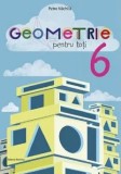 Cumpara ieftin Geometrie pentru toti. Clasa 6/Petre Nachila, Nomina
