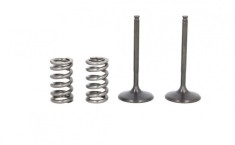Set supape evacuare + arcuri YAMAHA YZ 450 F 2010-2013