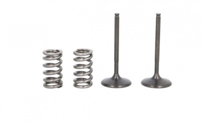 Set supape admisie + arcuri YAMAHA YZ 450 F 2010-2013 foto