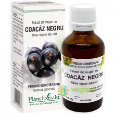 Extract din Muguri de Coacaz Negru 50ml