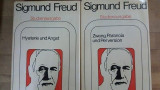 Hysterie und Angst. Zwang, Paranoia und Perversion- Sigmund Freud