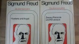 Hysterie und Angst. Zwang, Paranoia und Perversion- Sigmund Freud