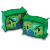 Sectiunea celulei plantei PlayLearn Toys, Learning Resources