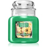 Country Candle Charred Pineapple lum&acirc;nare parfumată 510 g