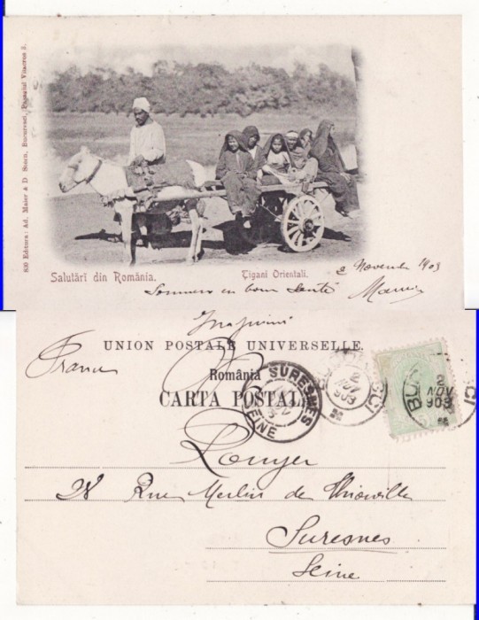 Dobrogea, Constanta -Tigani orientali- tipuri-clasica, rara