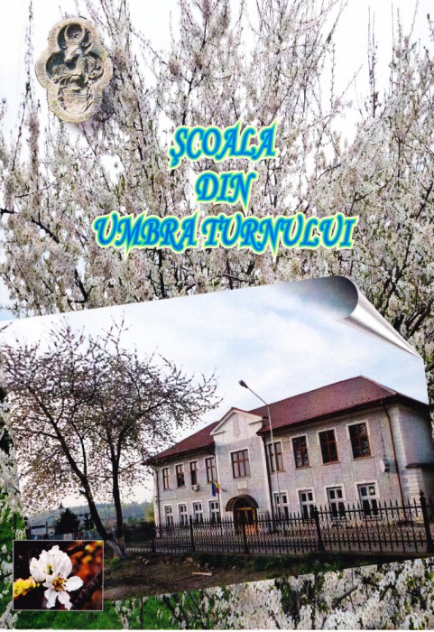 AS - SCOALA DIN UMBRA TURNULUI