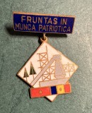 Insigna Fruntas in munca patriotica