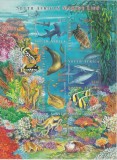 AFRICA DE SUD 2001 FAUNA MARINA PESTI FOCI TESTOASE