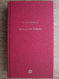 Calea Victoriei - Cezar Petrescu, Editura Litera, 2010, Coperta Cartonata, Roman
