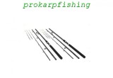 Set 2 Lansete Feeder Prokarpfishing 3.6m, 120-180g, 3+3 V&acirc;rfuri. Pescuit Dunare