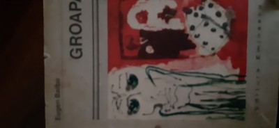 Groapa Eugen Barbu 1975 foto