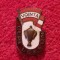 Insigna fotbal - Cupa &quot;UCECOM&quot; VOINTA
