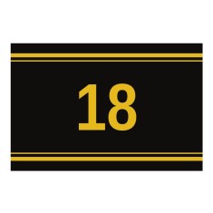 Sticker autoadeziv nr. 18 - Signetten SAFE auriu pe fundal negru