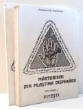 MARTURISIRI DIN MLASTINA DISPERARII VOL. I - II de DUMITRU GH. BORDEIANU , 1995