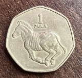 C50 - Moneda foarte veche - 1 pula - Botswana - 1991