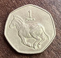 C50 - Moneda foarte veche - 1 pula - Botswana - 1991