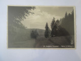 Carte poștala foto Agfa 1940 Poiana Tapului-Spre cascada Urlatoare, Azuga, Necirculata, Fotografie