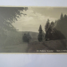 Carte poștala foto Agfa 1940 Poiana Tapului-Spre cascada Urlatoare