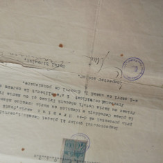 CERNAUTI, 1943- DOCUMENT REVIZOR SCOLAR