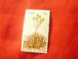 Timbru SWA 1981 - Flora , 15q