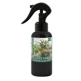 &Icirc;ngrășăm&acirc;nt Foliar Organic Plante Verzi, 500ml, Bio, Stimulare Creștere &amp; Frunze Bogate, Uz Interior/Exterior