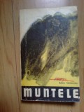 D1c RADU THEODORU - MUNTELE - volumul 2