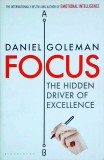 Daniel Goleman - Focus. The hidden driver of excellence