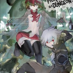 Is It Wrong to Try to Pick Up Girls in a Dungeon?, Vol. 12 (Light Novel)