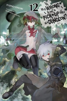 Is It Wrong to Try to Pick Up Girls in a Dungeon?, Vol. 12 (Light Novel) foto