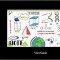 Tableta grafica 7&#039;&#039; ViewSonic ID710-BWW