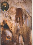 bnk cp Chiscau (Jud Bihor ) - Pestera Ursilor - necirculata