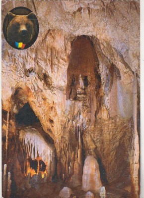 bnk cp Chiscau (Jud Bihor ) - Pestera Ursilor - necirculata foto