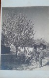 Fotografie, grup de militari, 1917
