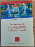 Posmodernismul și identități culturale-Conflicte și coexistență, Virgil Nemoianu