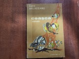 Ceasca de Ioan Balaceanu
