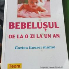 BEBELUSUL DE LA O ZI LA UN AN , CARTEA TINEREI MAME de ANNE BACU