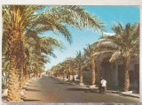 bnk cp Algeria - Ghardaia - Bulevardul 1 Noiembrie 1954 - uzata