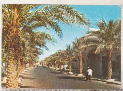 bnk cp Algeria - Ghardaia - Bulevardul 1 Noiembrie 1954 - uzata foto