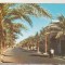 bnk cp Algeria - Ghardaia - Bulevardul 1 Noiembrie 1954 - uzata