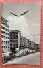 Baia Mare. B-dul Bucuresti - Circulata, 1975, Printata