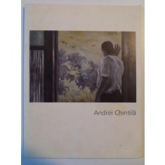 ANDREI CHINTILA , 2008