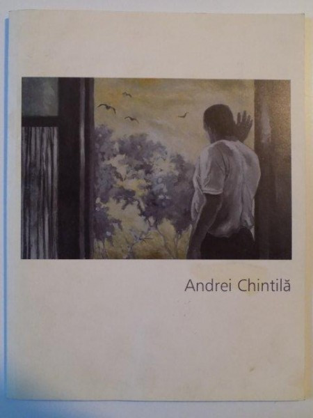 ANDREI CHINTILA , 2008