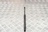 Amortizor capota st&acirc;nga față BMW 3 Coupe E92 2006 OEM: 7129190 12233545