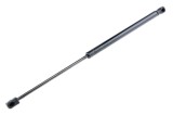Amortizor portbagaj , L=490mm, F=560n, Convertible, Ford Focus 2, 2006-2011, NTY AE-FR-041
