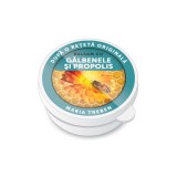 BALSAM CU GALB SI PROPOLIS 30ML, QUANTUM PHARM