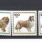 BUNDES 1996-FUR DER JUNGEN-RASE DE CAINI-SERIE DE 5 TIMBRE NESTAMP[ILATE