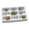 Kit paleontologie - Fosile PlayLearn Toys