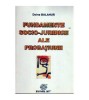 Doina Balahur - Fundamente socio-juridice ale probatiunii - 108099