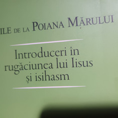 INTRODUCERI IN RUGACIUNEA LUI IISUS SI ISIHASM - VASILE DE LA POIANA MARULUI