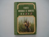 Plantele medicinale si aromatice de la A la Z - O. Bojor, M. Alexan, 1982, Alta editura